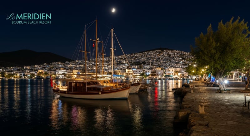 Le Meridien'de sanat ve eğlence etkinliği