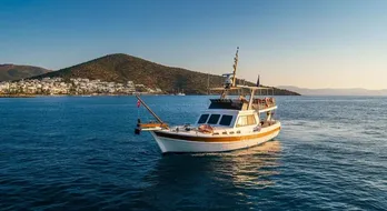 Aegean Sea Fishing Trips: Unveiling Bodrum's Hidden Angling Gems