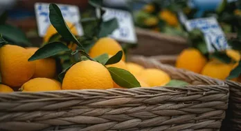 Bodrum Mandalina: Ege'nin Gizli Turunçgil Hazinesi