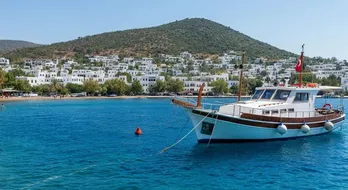 Narini Kim Öldürdü: Bodrum'un Gizemli Olayının Derinlemesine Analizi
