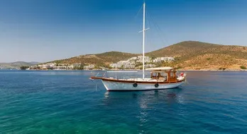 Tax Benefits: Unlocking Financial Advantages for Foreign Residents in Bodrum