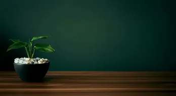 Zero-Waste Luxury Living: Embracing Sustainable Elegance
