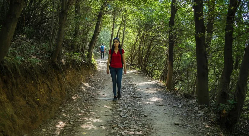 Top hiking trails in nature