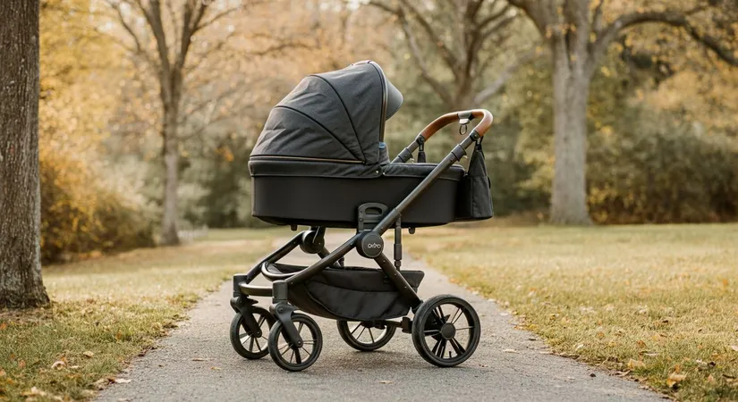 Choosing the right stroller for newborns
